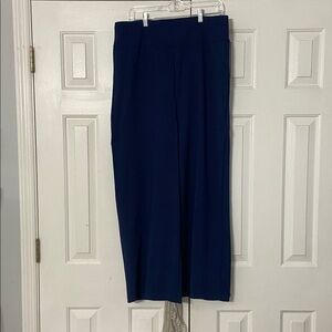 Dear scarlet Navy Pants